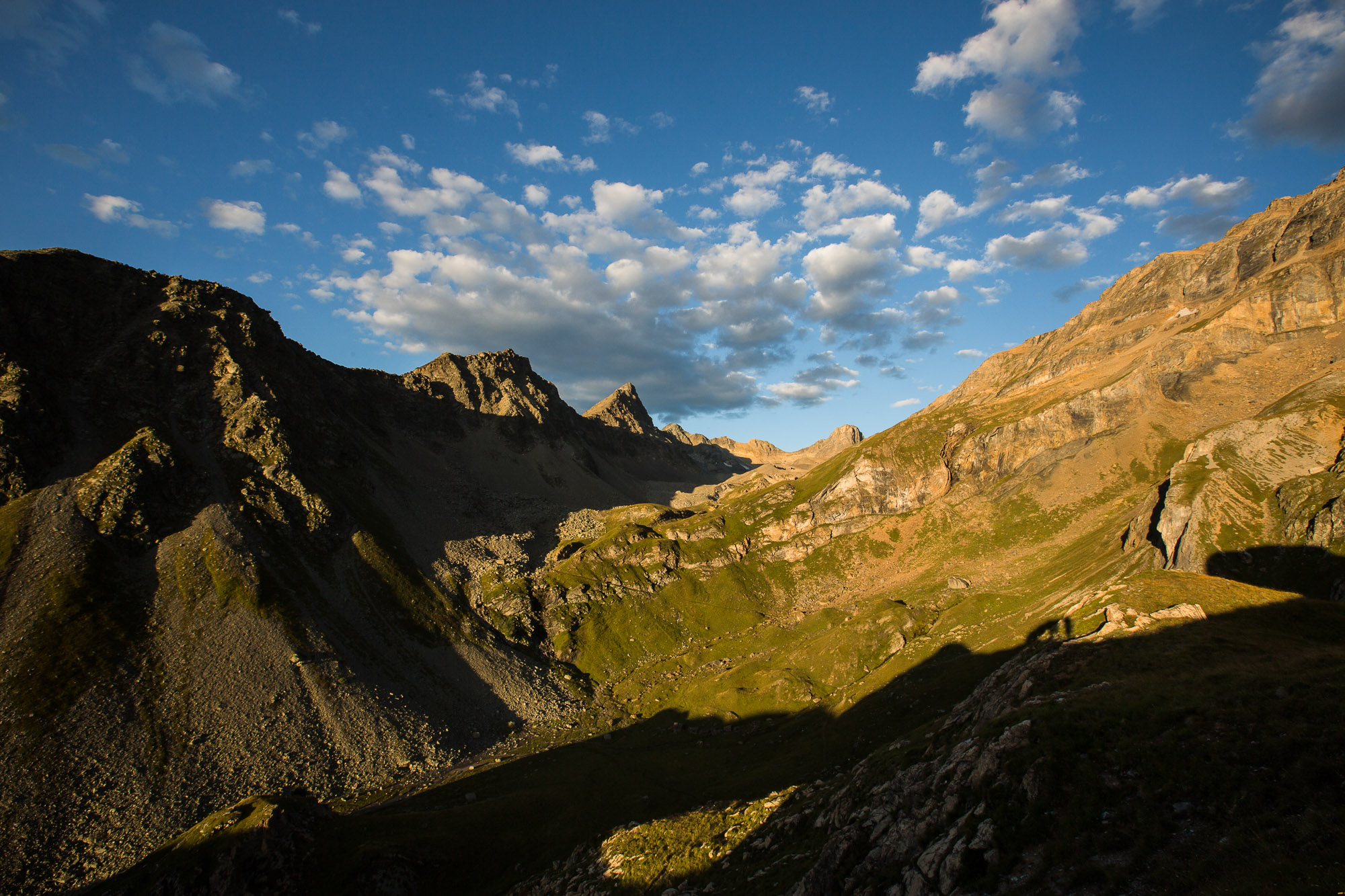 Anforderungen an den Führer