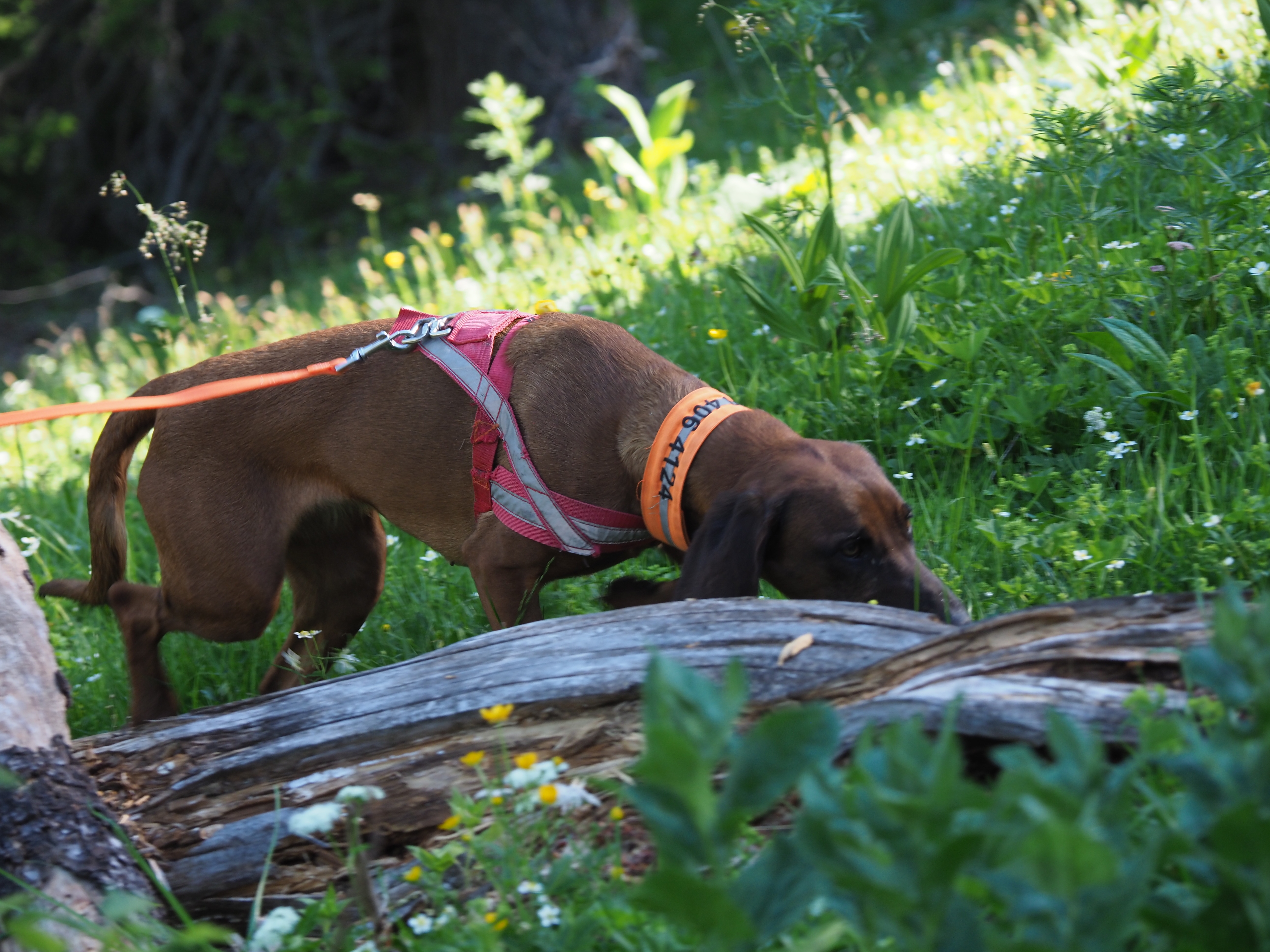 Vorprüfung 1000 Meter