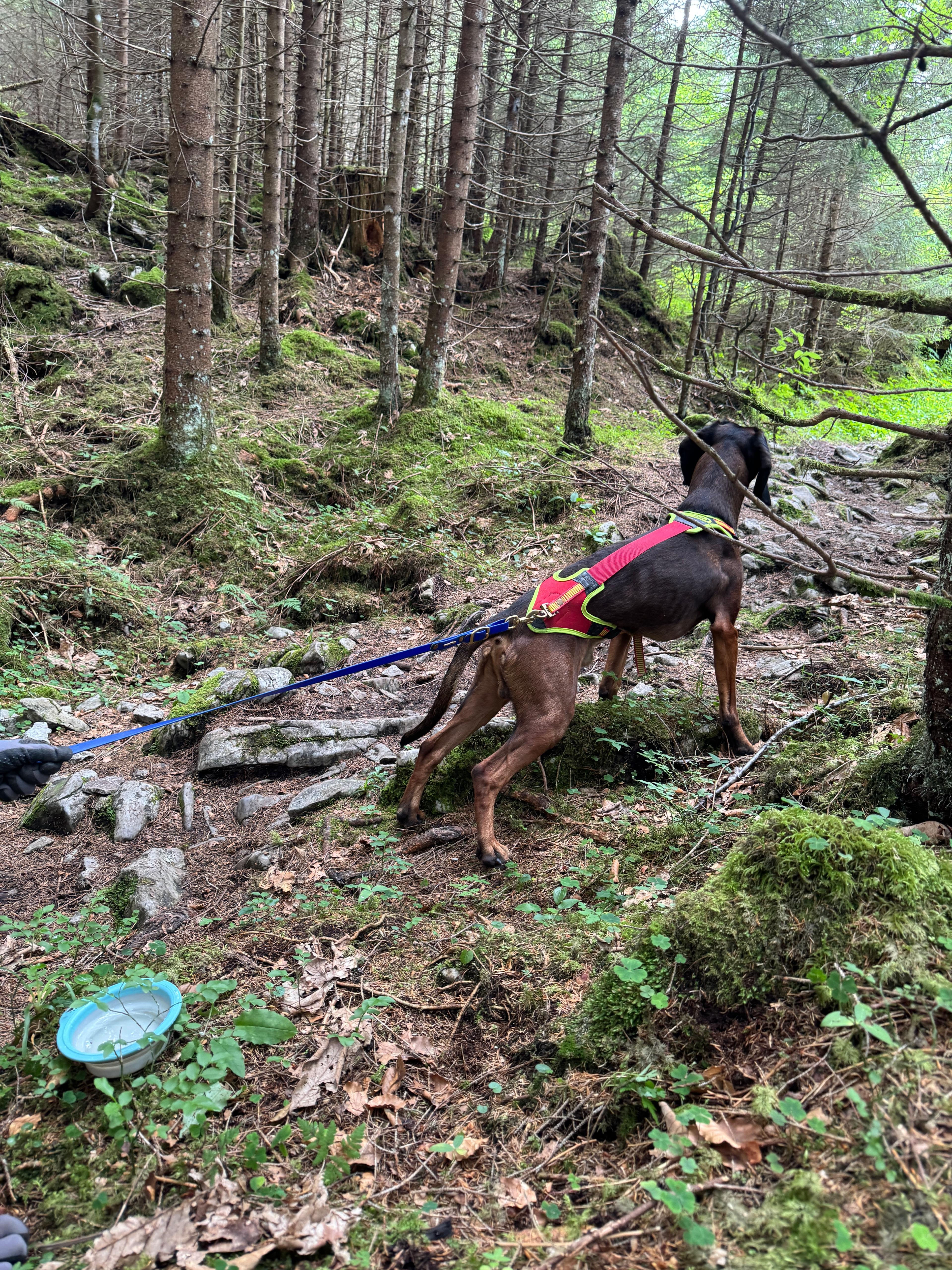 VP am Grabserberg 2025