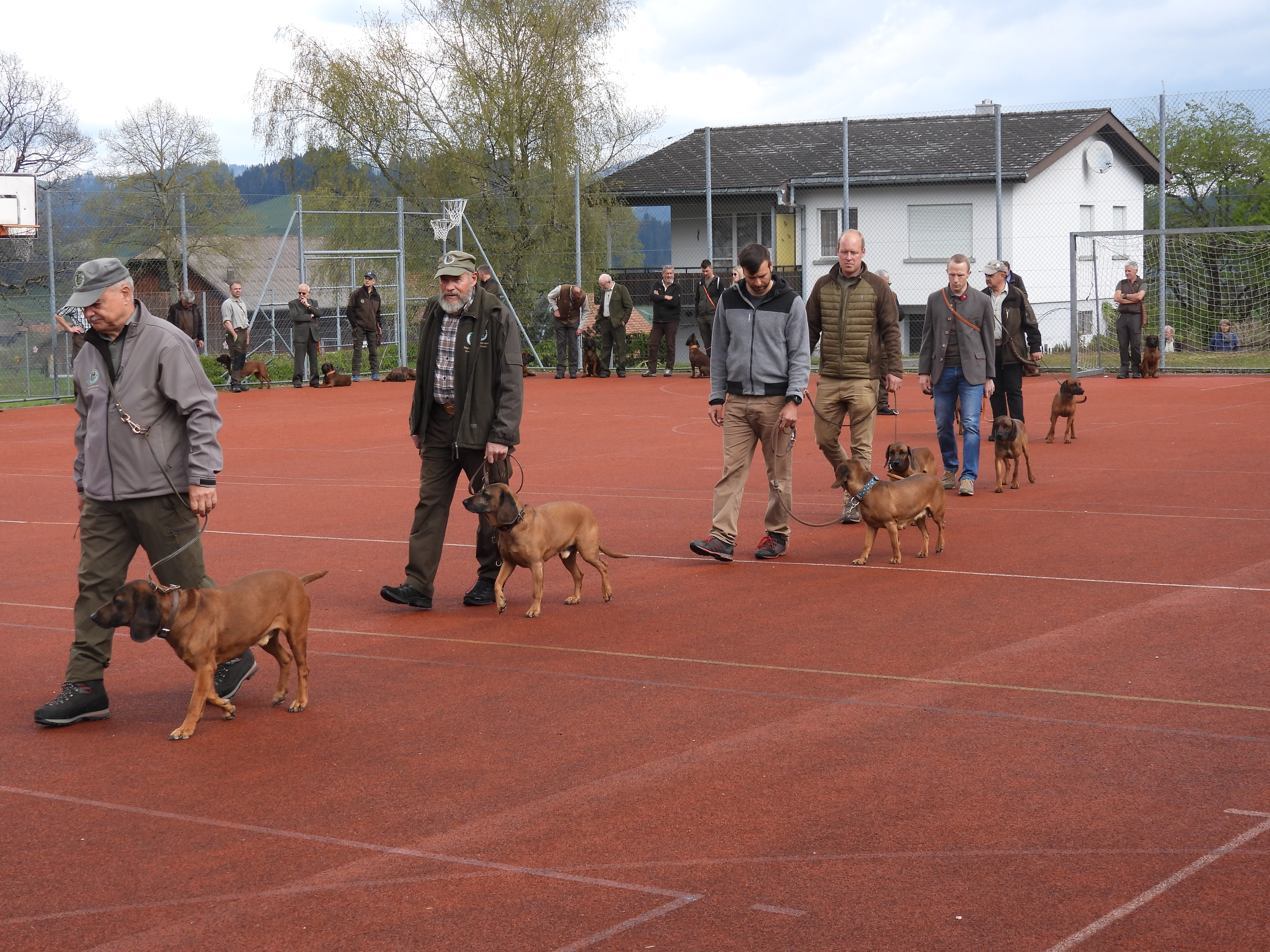 HV 2022 Pfostenschau