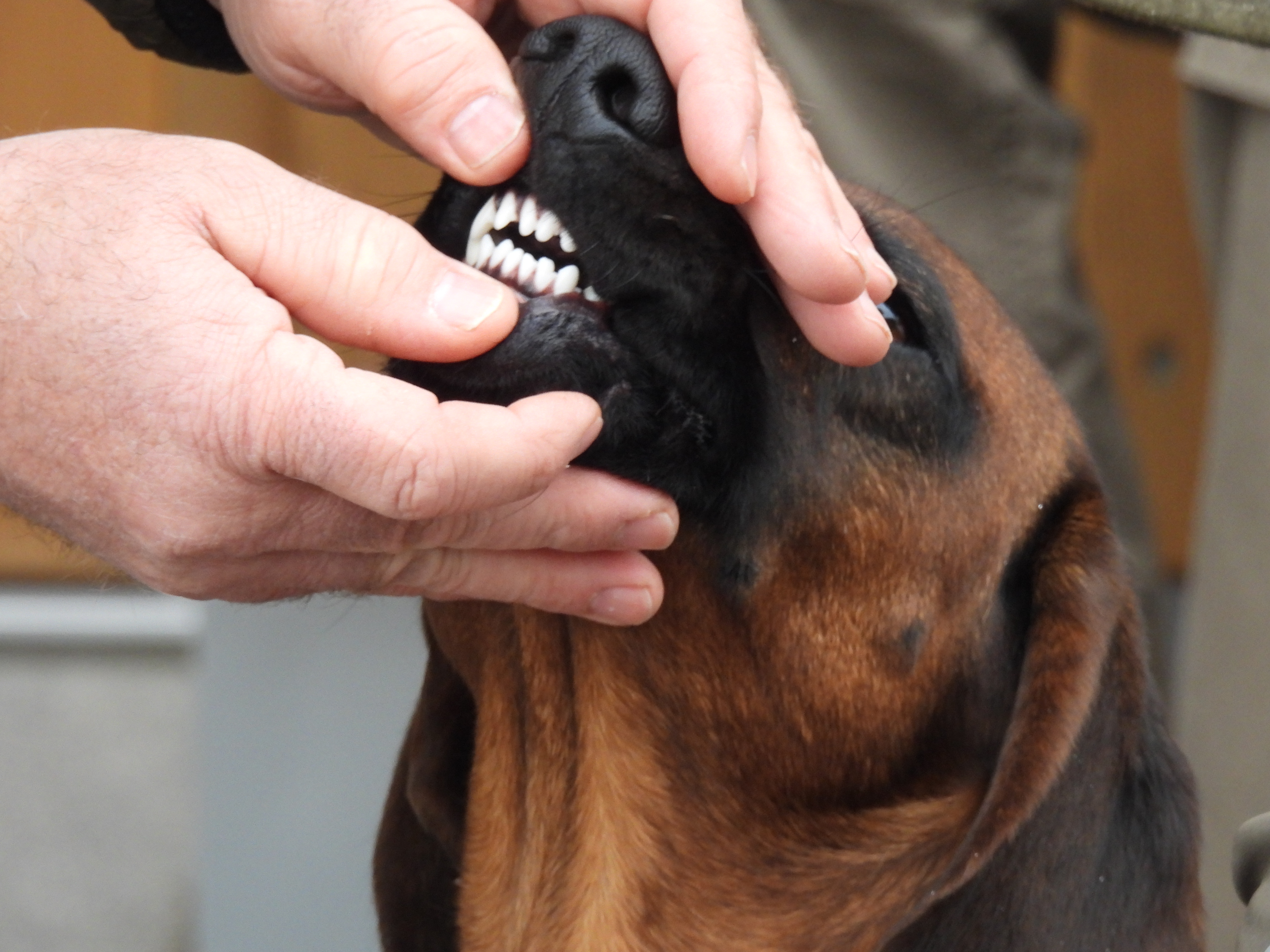 Formwert-Prüfung HV 2023