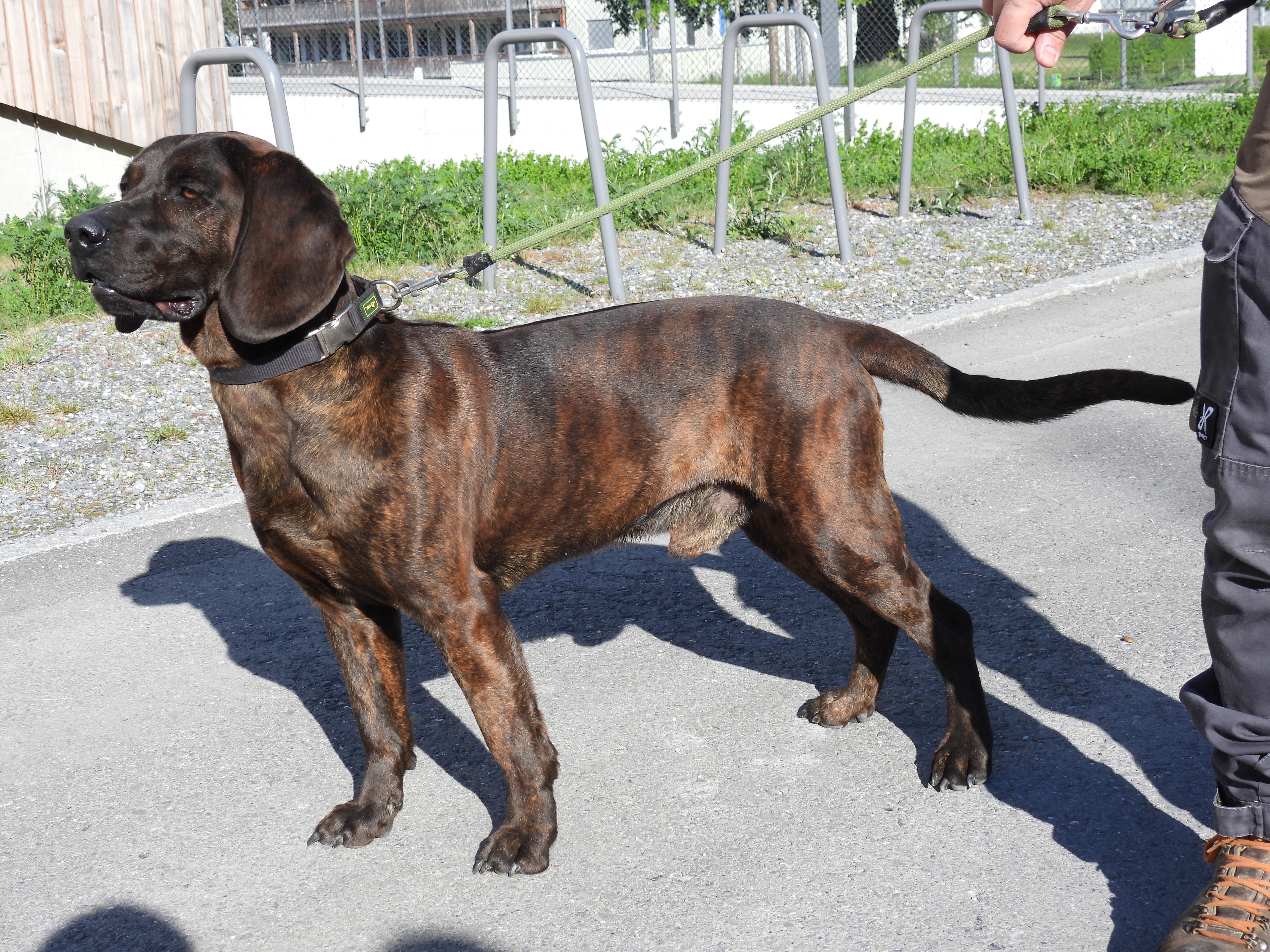 HV 2025 Formwert Prüfung