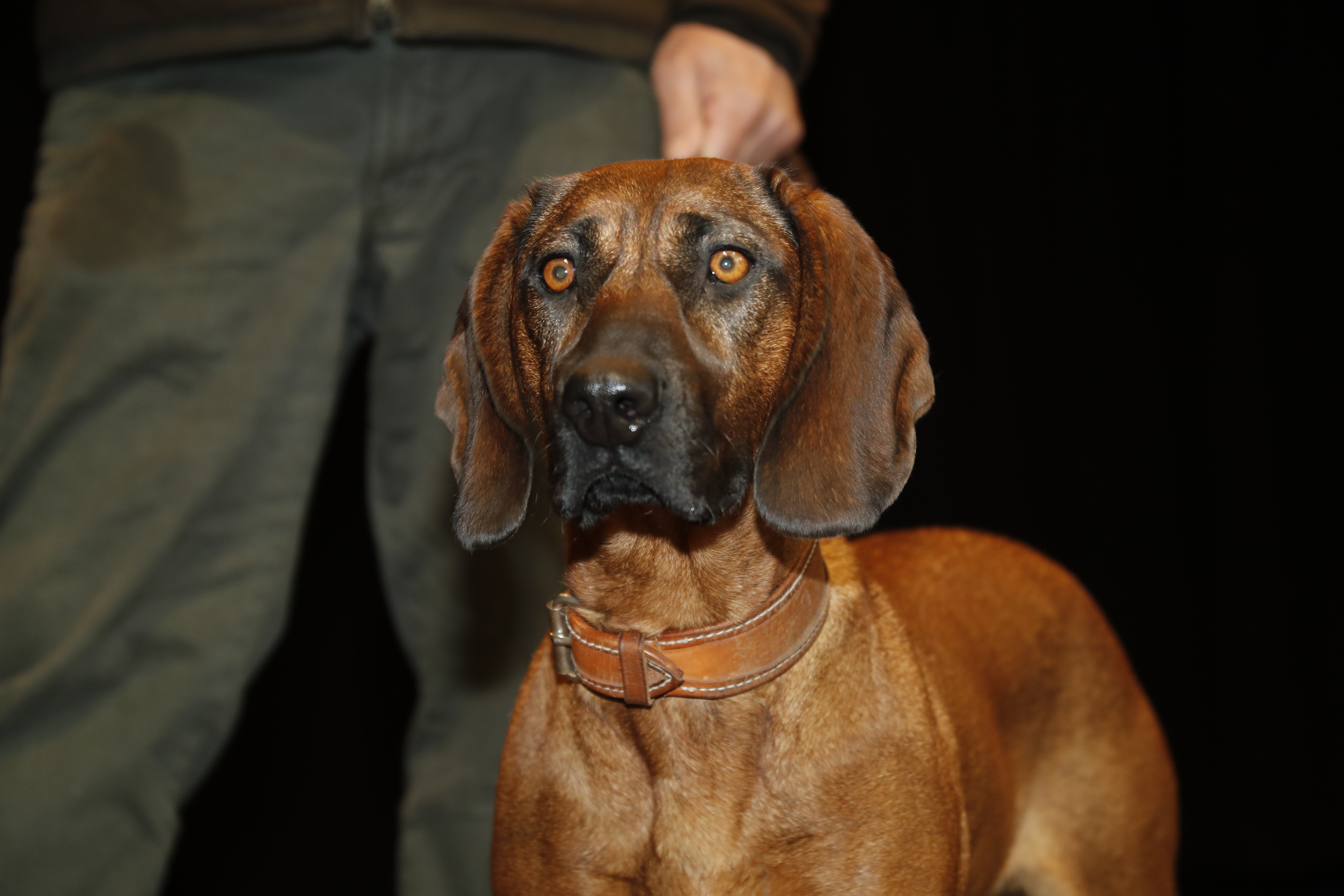 Pfostenschau HV 2023