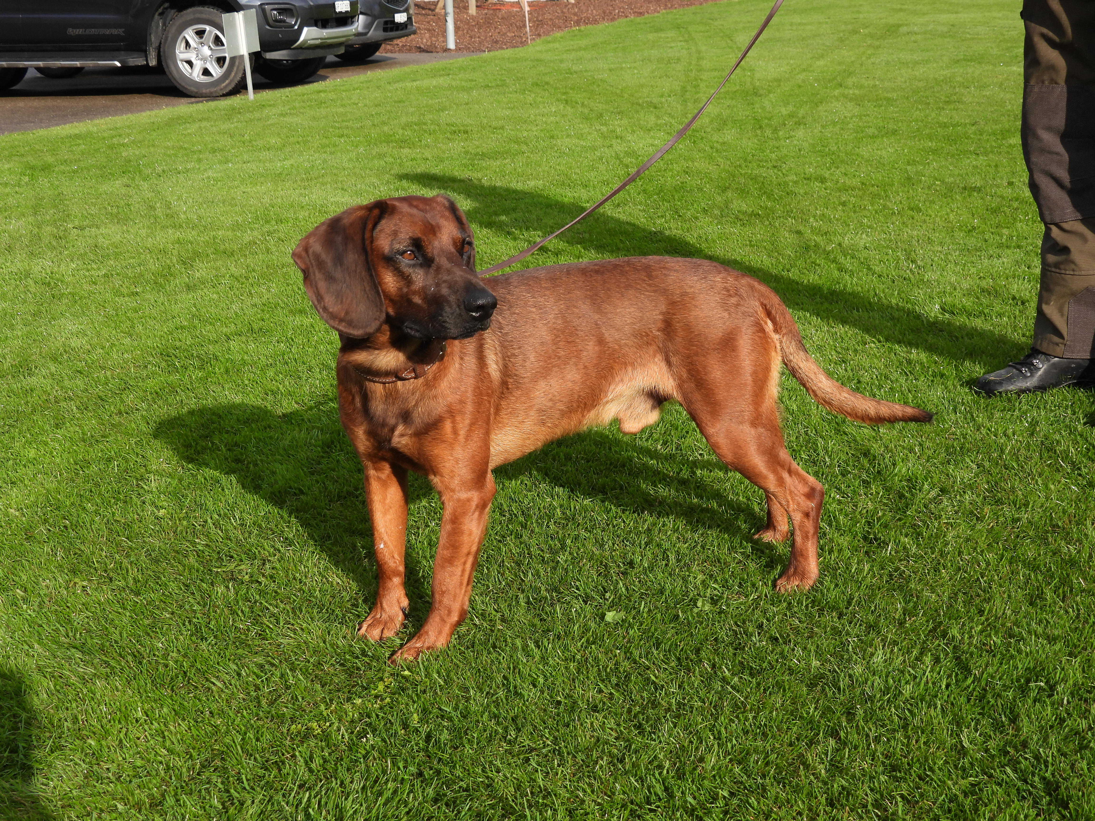 HV 2022 Formwertprüfung 