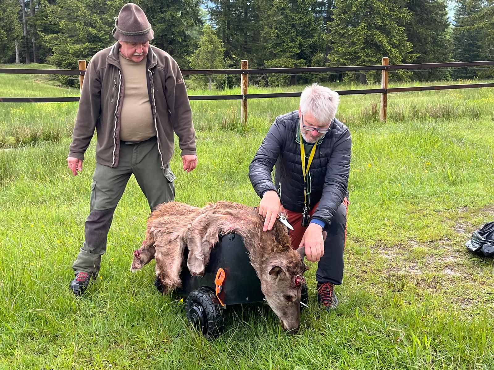 2025 Übung RG Tödi mit Robo-Sau