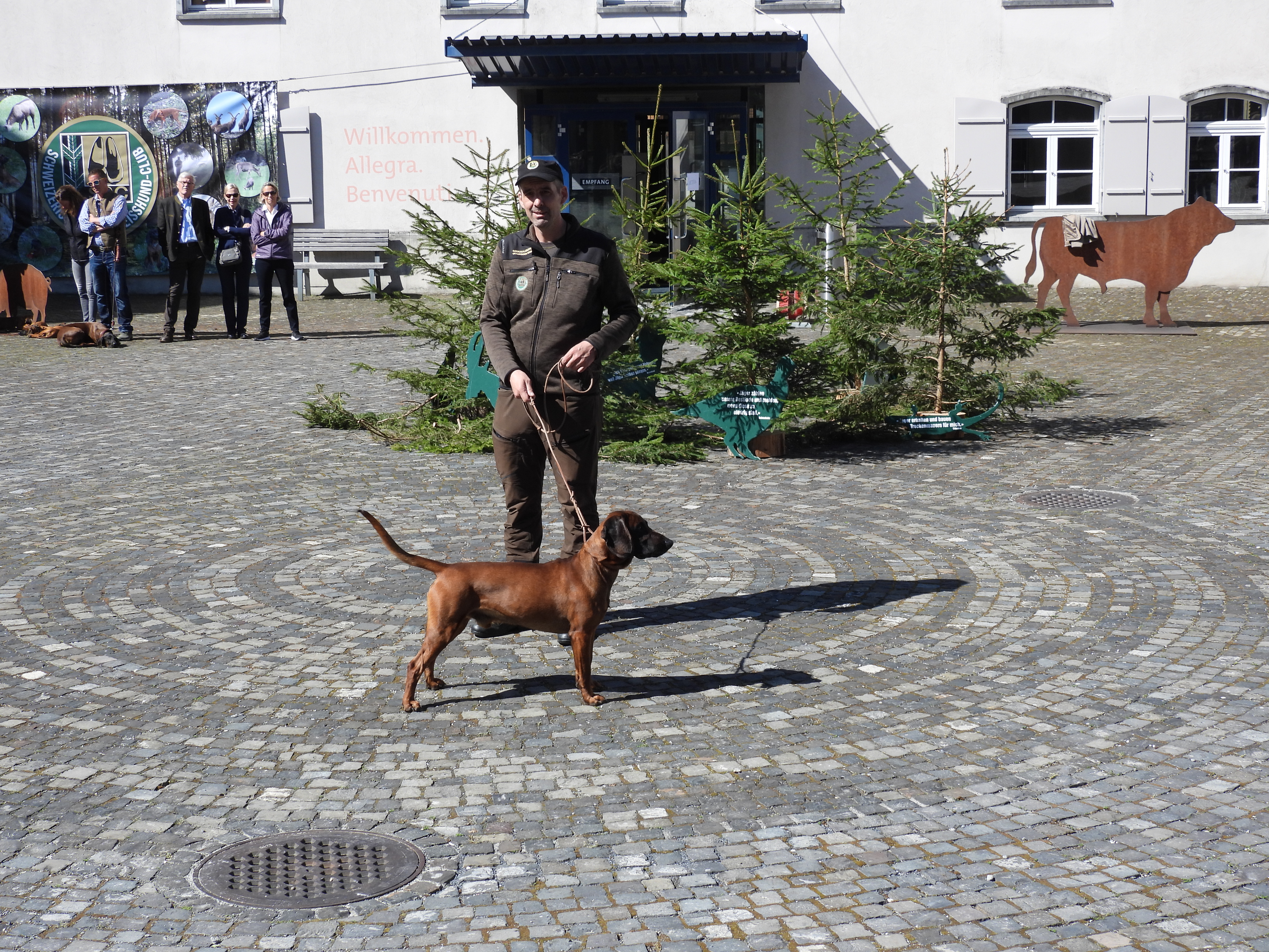 HV 2025 Pfostenschau